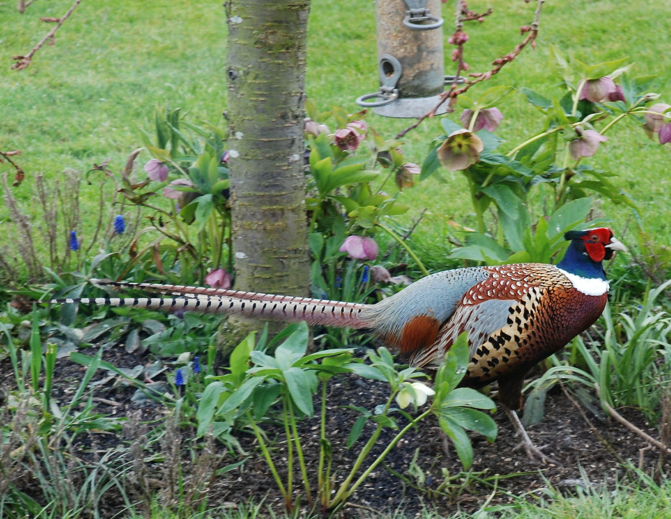 Stewardship Scheme