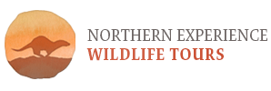 Northern Experience Wildlife Tours