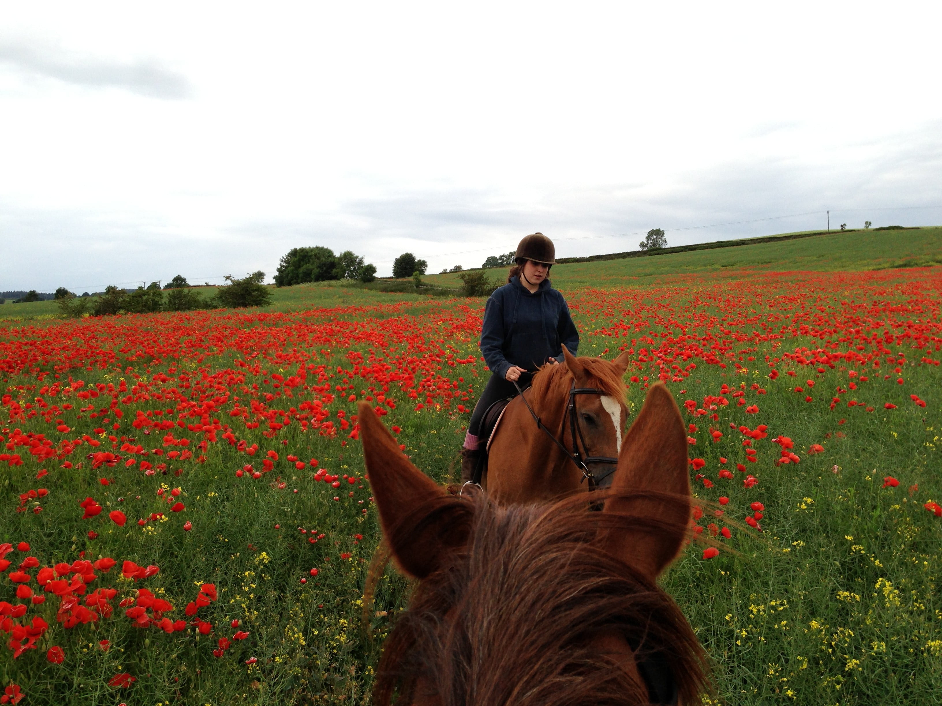 Beautiful Bridleways on our doorstep